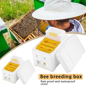 1/2KS Úli Včelárskych Box Pena Včiel, Chov Box Kráľovná Kráľ Včelích Úľov Boxy Opeľovanie Včelí Dom Včelárskych Zariadení