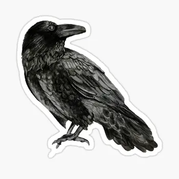 Raven 5 KS Nálepky na Roztomilý Chlapec Tlač Okno Steny Domov Obývacia Izba Pozadí Izba Umenie Auto Batožiny Fliaš Vody Nálepky